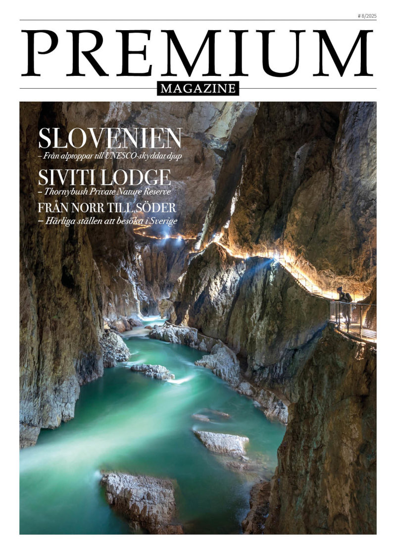 premium magazine nr 08 2025