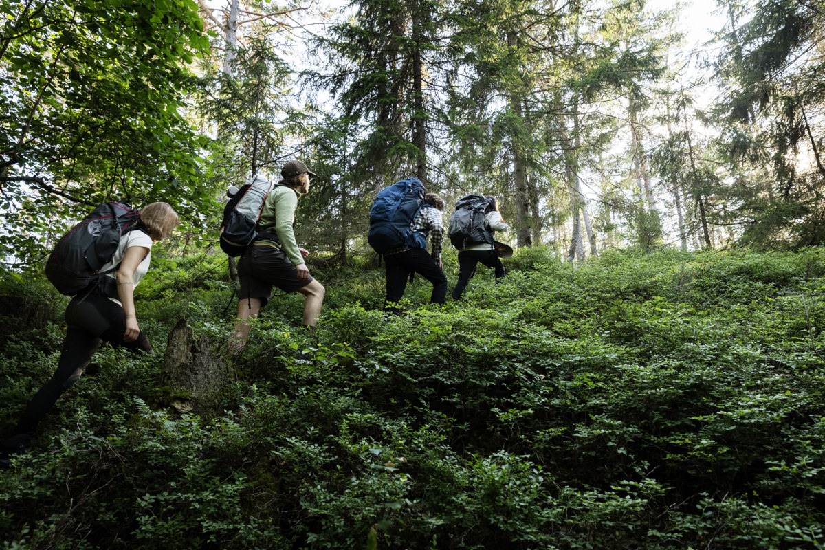 vandring jimmy hansen