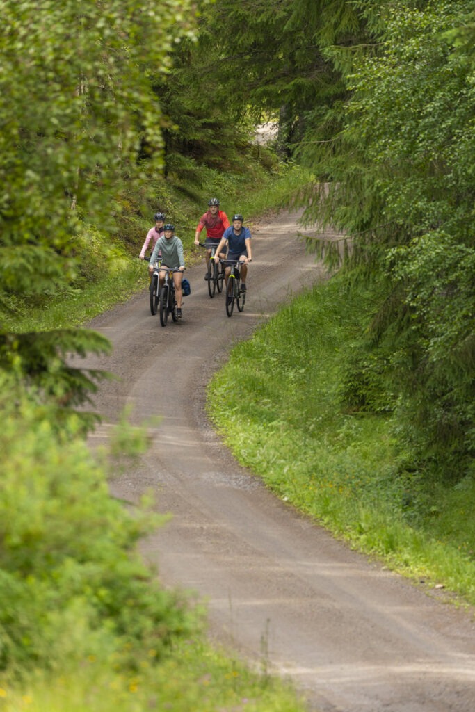 En grupp människor som cyklar på en landsväg